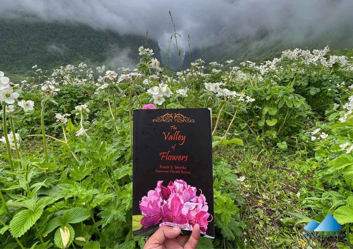 Valley of Flowers Trek Hemkund Sahib — photo 1 of 4