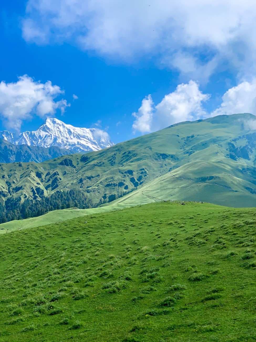 Ali Bedni Bugyal Trek - Image 4