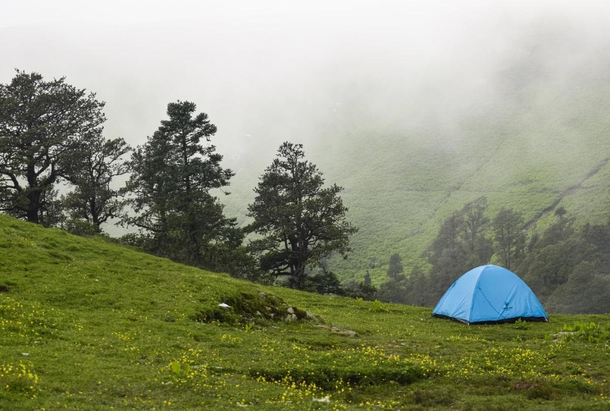 Ali Bedni Bugyal Trek - Image 2