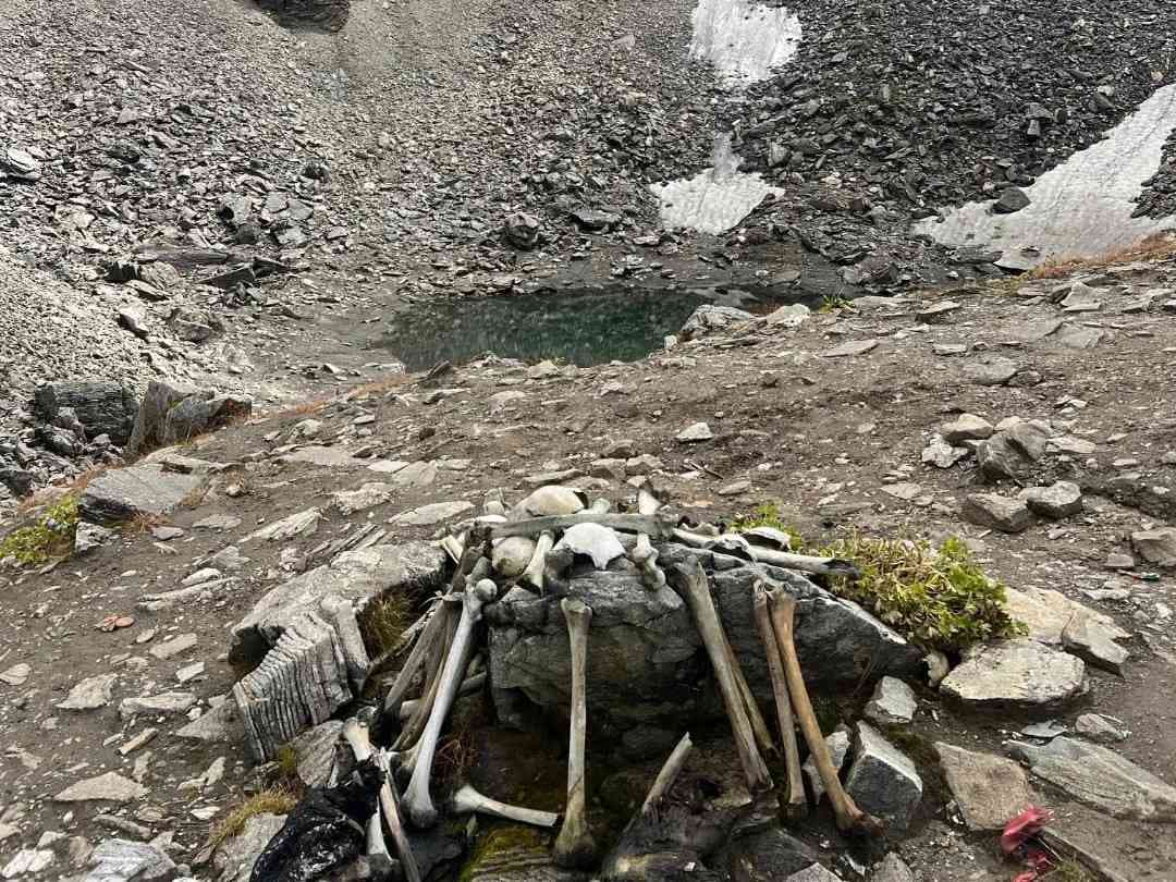 Roopkund Trek - Image 2