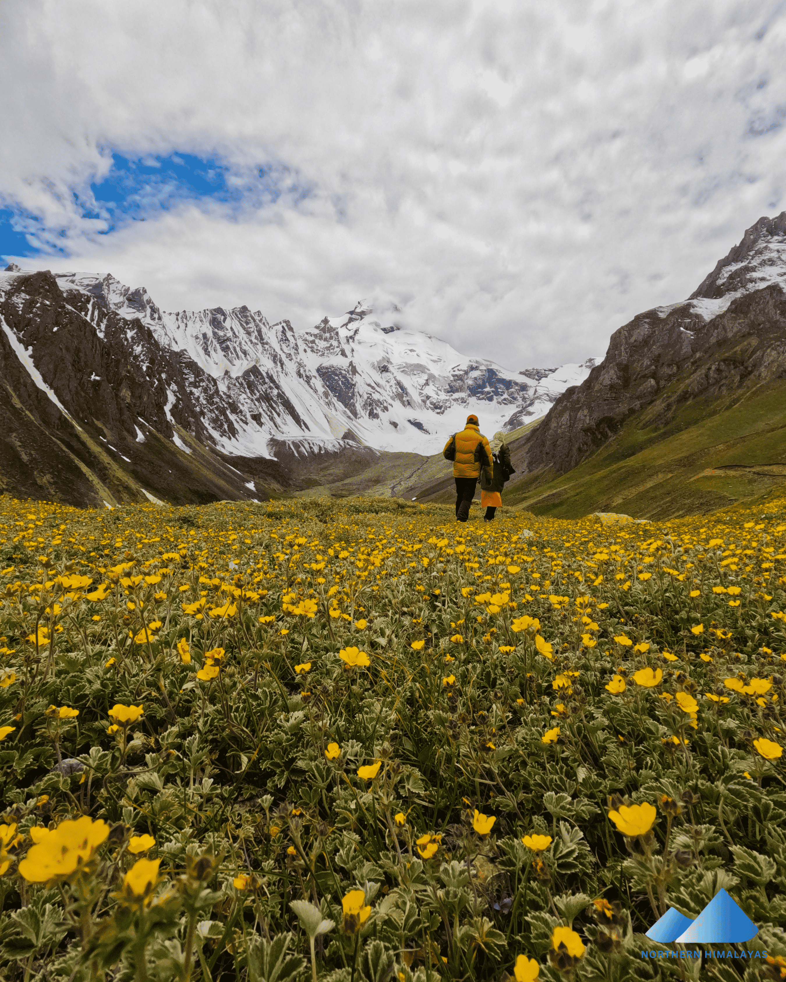 Adi kailash & Om Parvat - Image 4