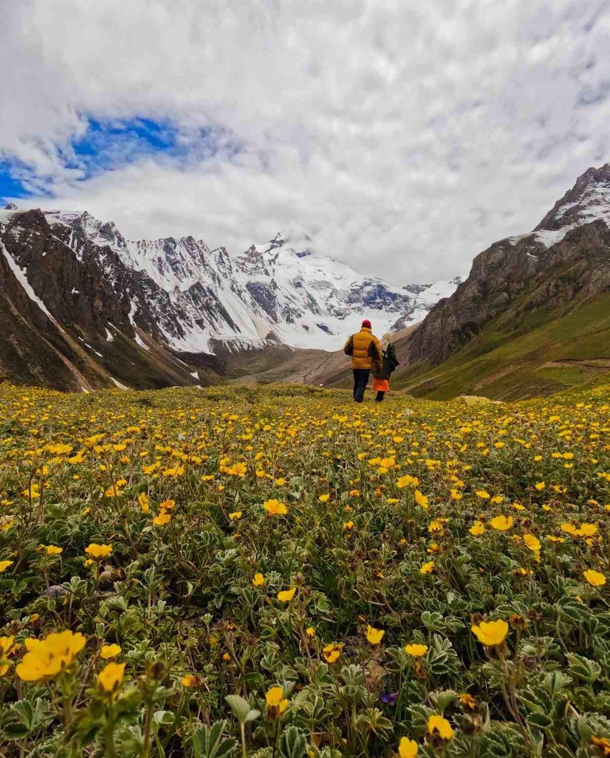 Adi kailash & Om Parvat - Trekking Adventure