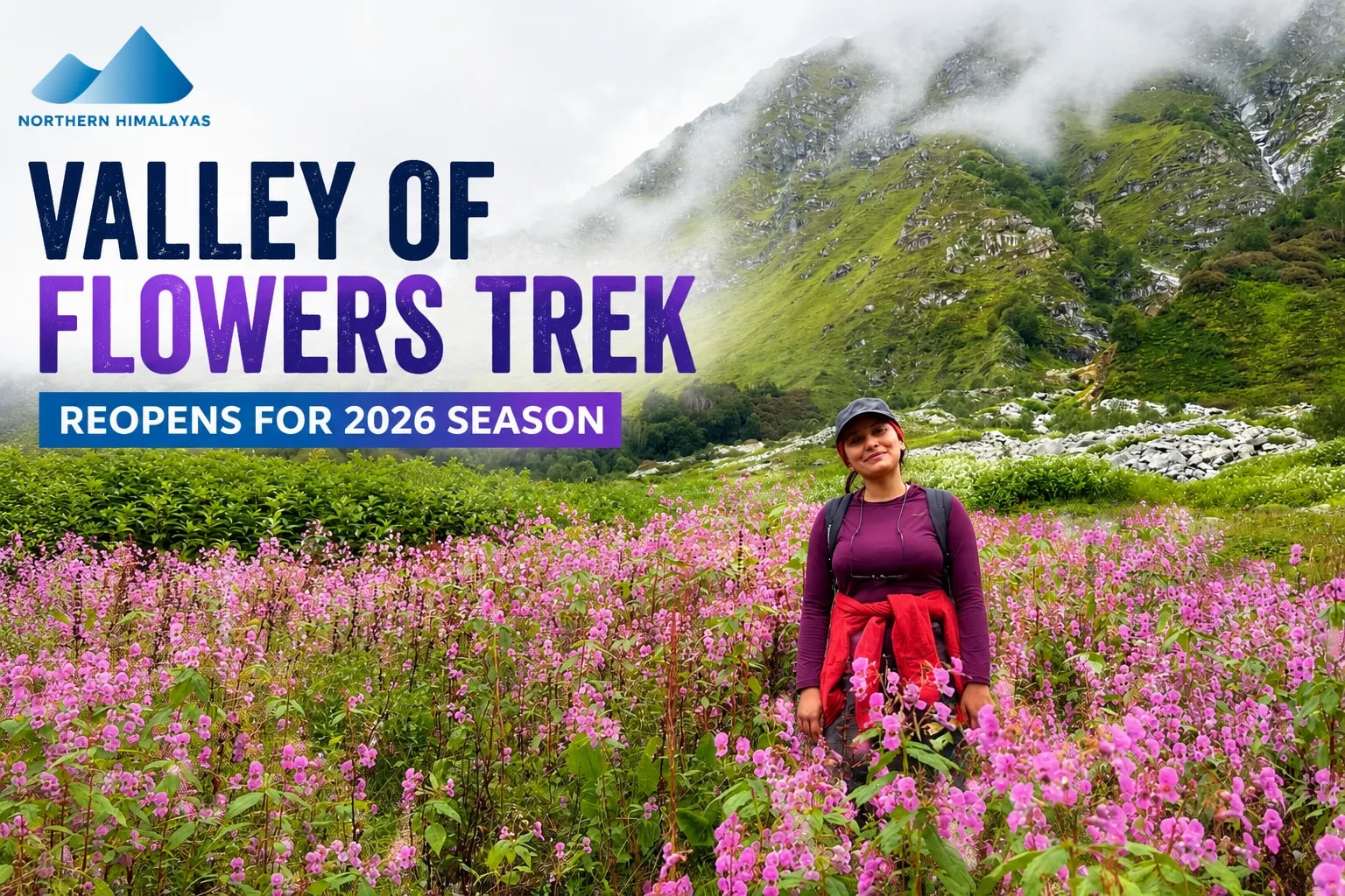 valley of flowers trek reopens