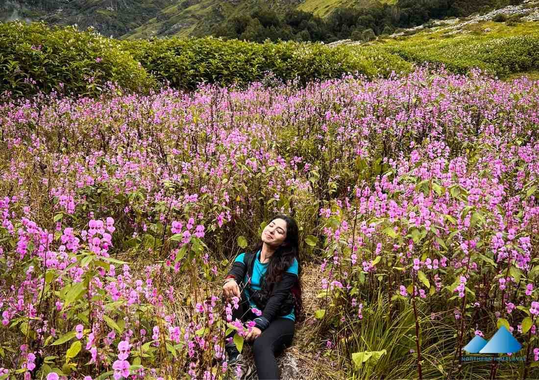 Valley of Flowers Trek Hemkund Sahib