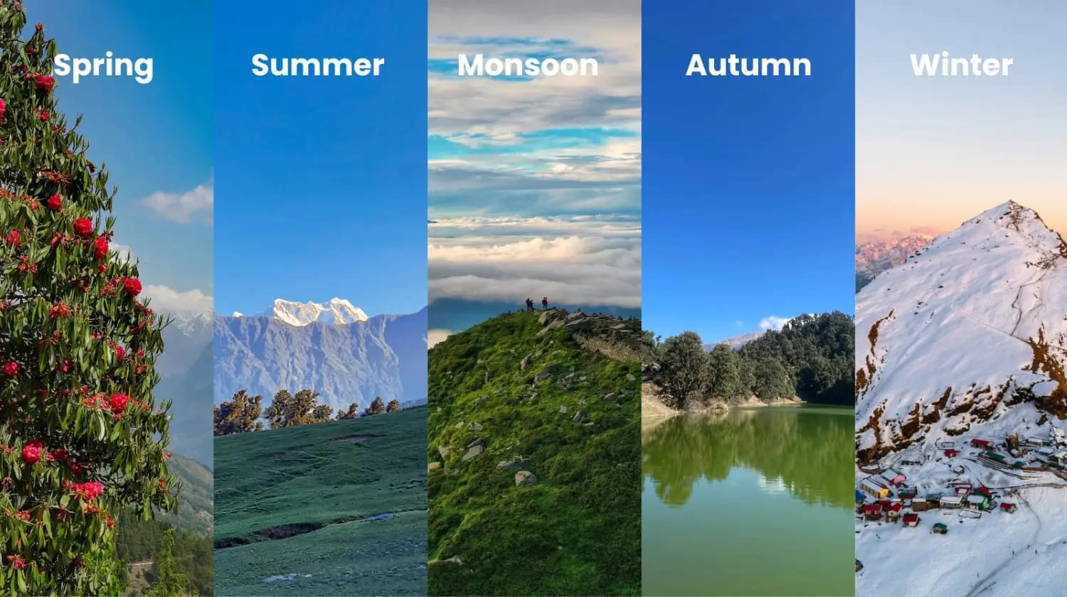 Best Time to Visit Chopta: Your Complete Seasonal Guide (2025) - Mobile Related Article
